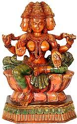 brahma